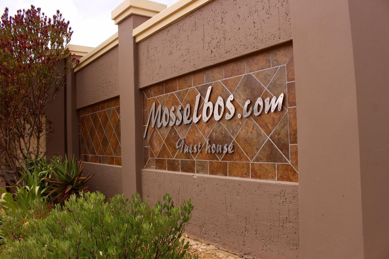 Mosselbos Guesthouse Self-Catering Great Brak River エクステリア 写真