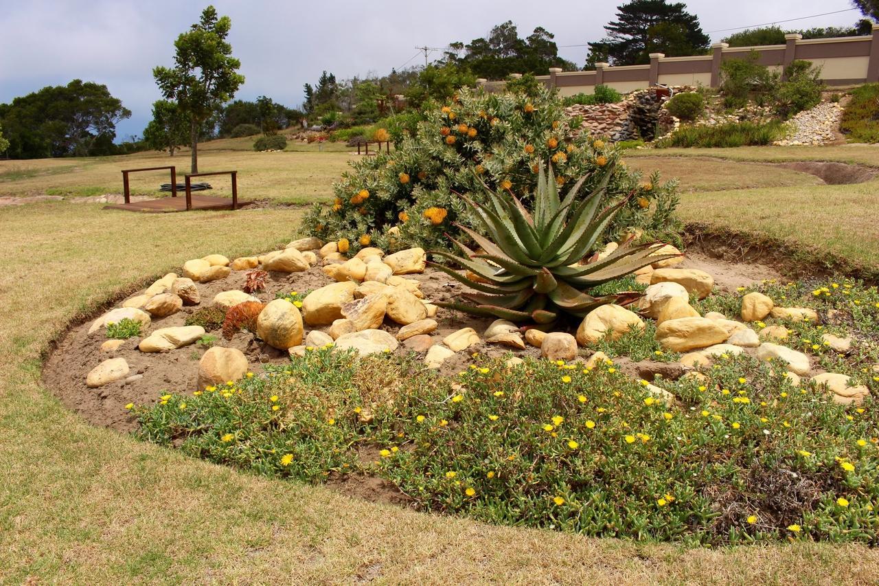 Mosselbos Guesthouse Self-Catering Great Brak River エクステリア 写真