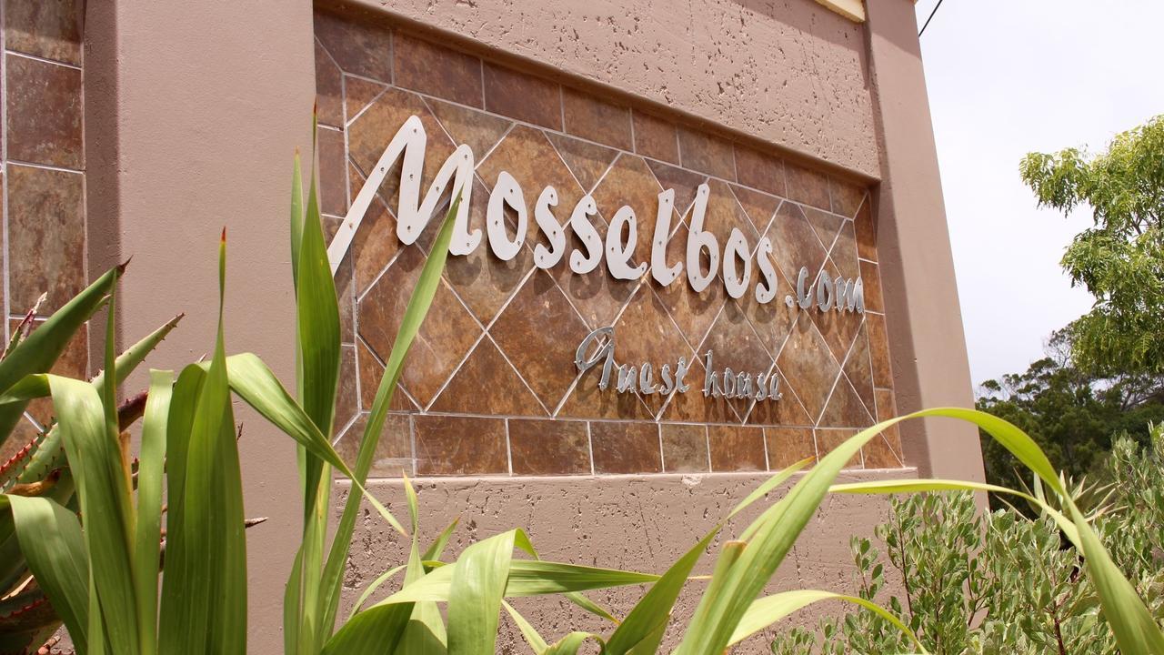 Mosselbos Guesthouse Self-Catering Great Brak River エクステリア 写真
